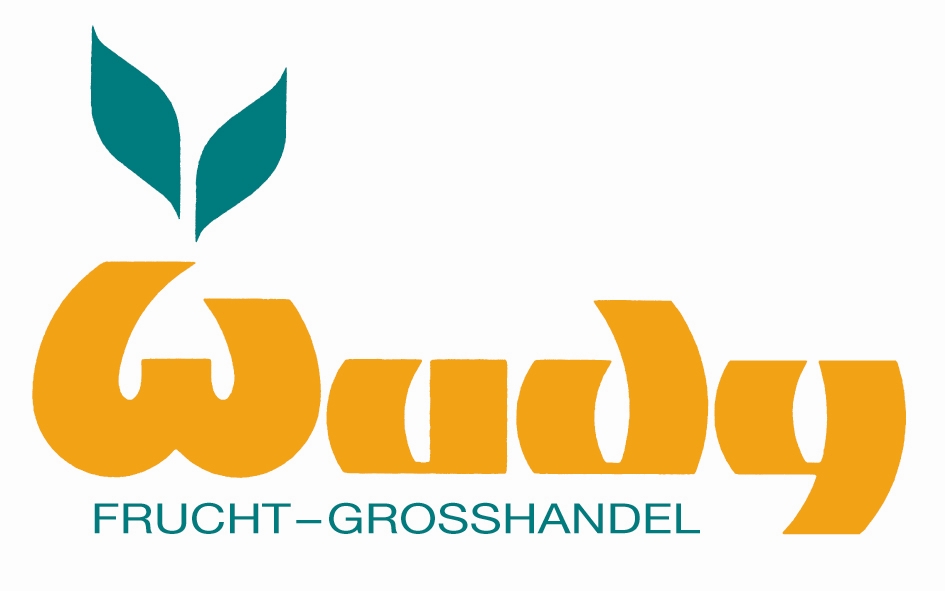 Wudy LOGO